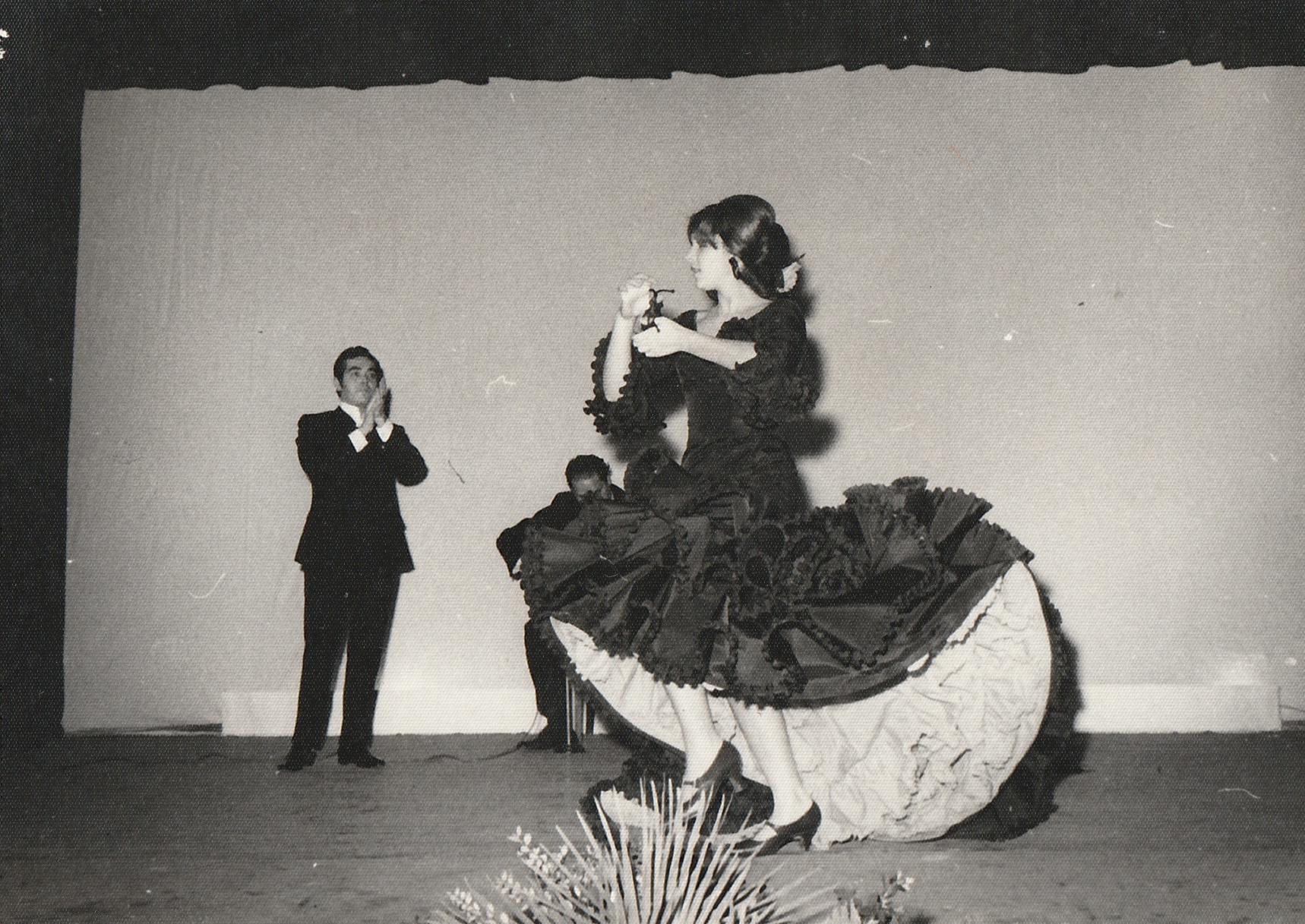 Flamenc en blanc i negre
